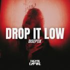 Diseptix - Drop it low (Extended Mix) [2026]