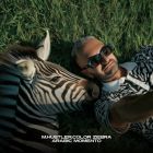 M.Hustler, Color Zebra - Arabic Momento [2026]