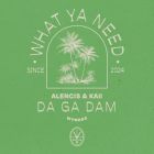 Alencis & Kaii - Da Ga Dam (Extended Mix) [2026]