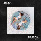 Diseptix - Summertime Sadness (Extended Mix) [2024]