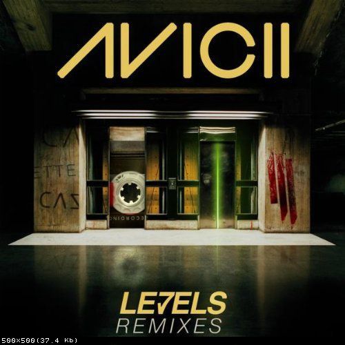 Avicii - Levels (Gin & Sonic Remix).mp3