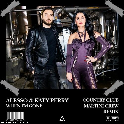 Alesso & Katy Perry - When I'm Gone (Country Club Martini Crew Remix).mp3