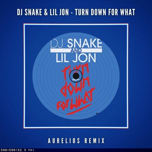 DJ Snake & Lil Jon - Turn Down for What (Aurelios Remix).mp3