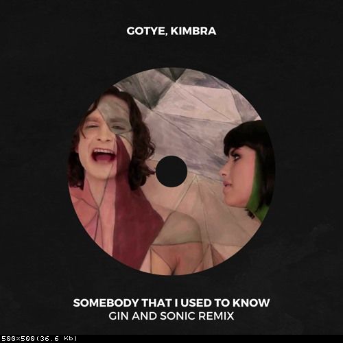 Gotye & Kimbra - Somebody That I Used To Know (Gin & Sonic Remix) [2023]